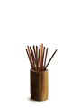 �����ǿ